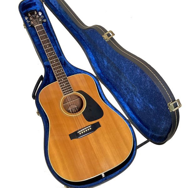 Vanguard ヴァンガード　アコースティックギター Vanguard】ヴァンガード『アコースティックギター』VFG-01 1週間