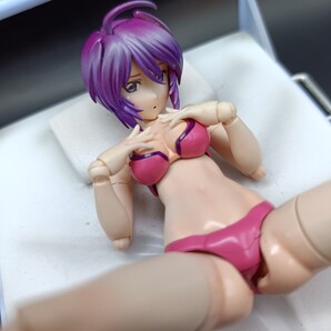 ガンダムSEED DESTINY Figure-rise Standard ルナマリア 【塗装完成品】