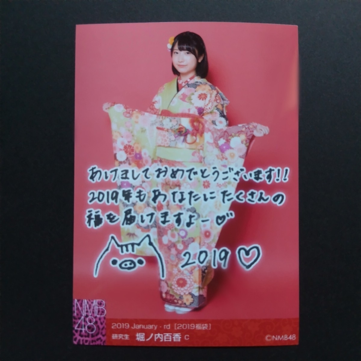 2025年最新】Yahoo!オークション -堀ノ内百香(タレントグッズ)の中古品