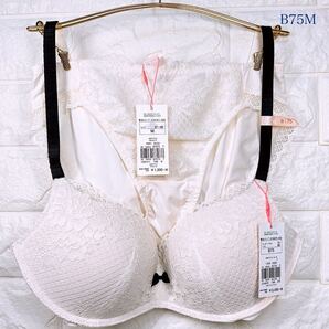 新品 トリンプ アモスタイル シグネチャーレースワンダーメイクbasic ブラ&ショーツセット B75M