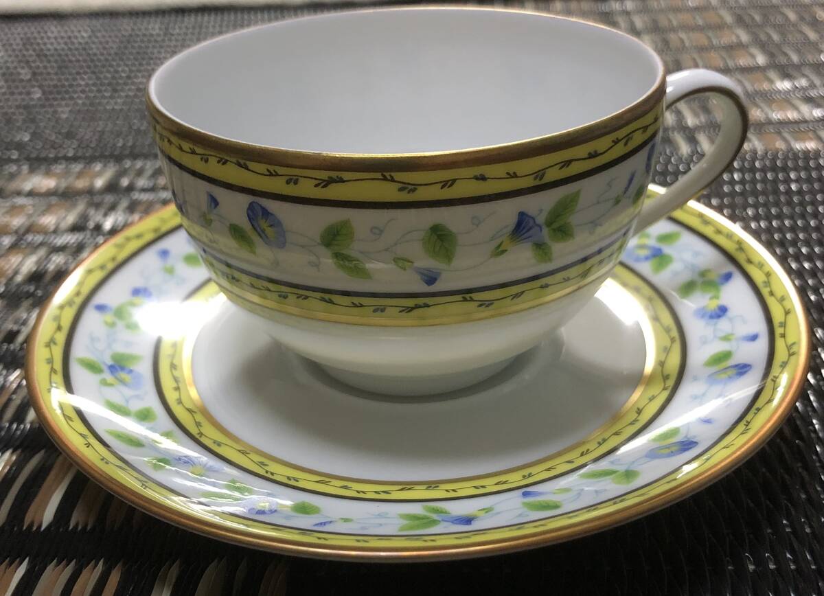 レイノー　プレート　6枚セット レイノー プレート 6枚セット