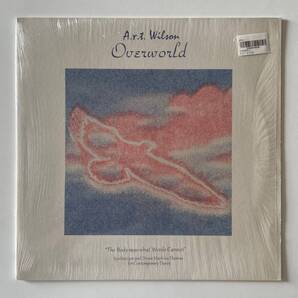 A.R.T. WILSON / OVERWORLD(LP)