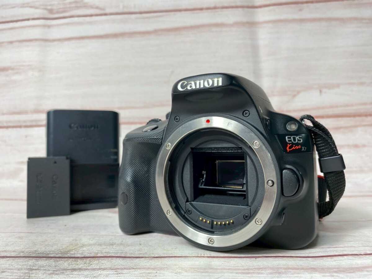 ❤即購入1000円OFF❤キャノン Canon EOS-1 プロの鼓動を、手に。 Amazon | Canon EOS-1 | デジタル一眼レフ 通販