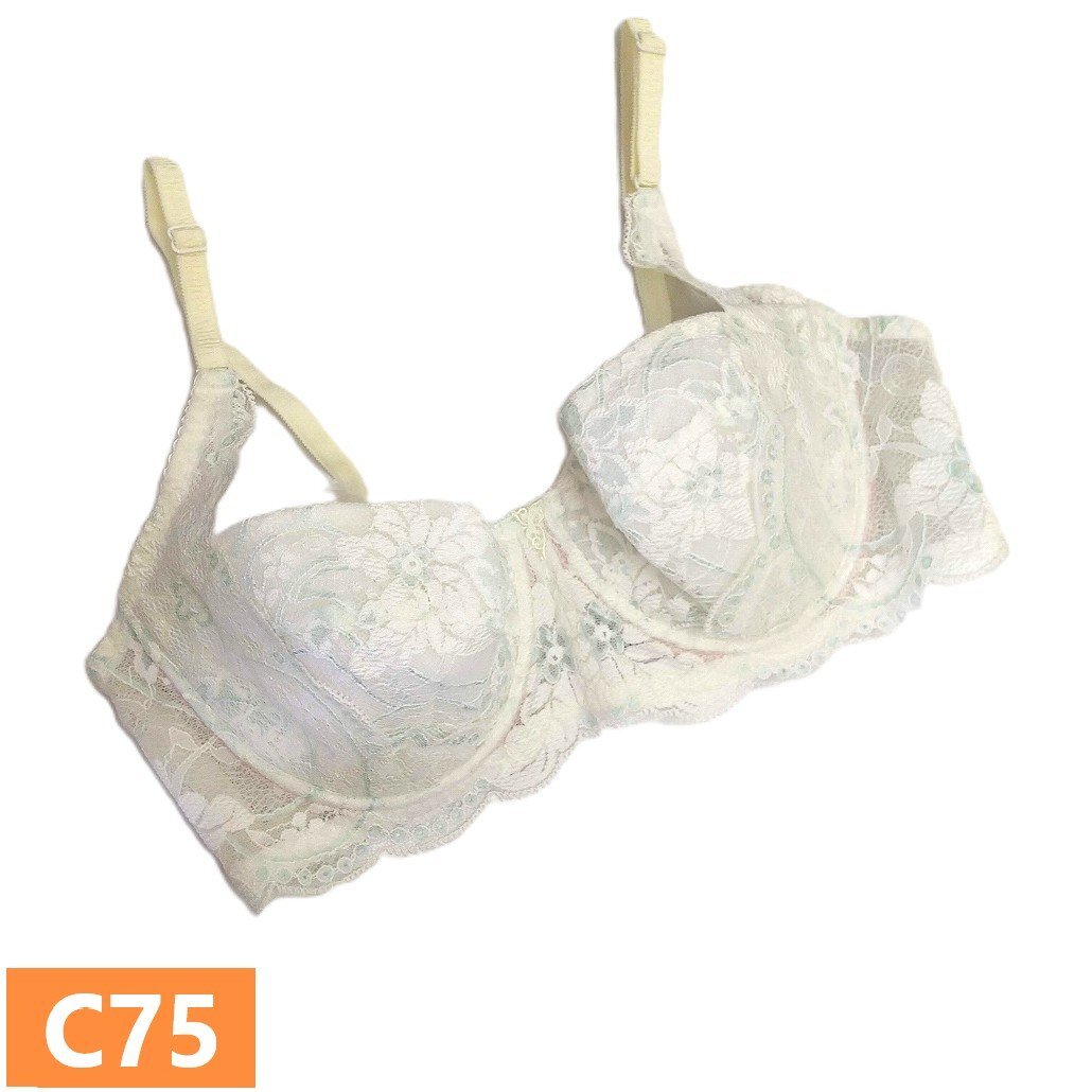 2025年最新】Yahoo!オークション -シャルレ ブラジャーの中古品