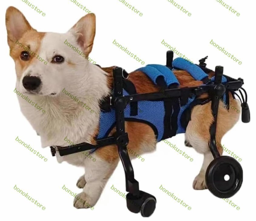 犬用車いす ブラック 小型犬用　中古品 61MsVBpfCYL._UF350,350_QL50_.jpg