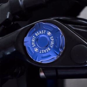 GSX250R GSR250 Vストローム250 REBEL250 CL250フロントフォークキャップカバー ブルー