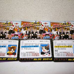 【なめ猫 カードコレクション 66枚 22枚×3組 A】なめんなよ なめねこ 猫 ねこ 可愛い かわいい 癒やし 癒し 癒し系 昭和レトロ ブロマイド