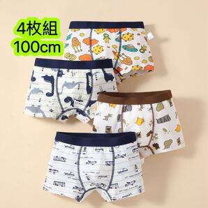4枚セット100cm 男の子ボクサーパンツ ブリーフ 綿キッズ コットン 男の子下着 男児小学 子供下着 吸汗速乾 立体構造 子供パンツ 254号
