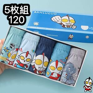 5枚セット120cm 男の子下着 キッズパンツ ブリーフ 綿 子供ショーツ インナーウェア 肌着 528号