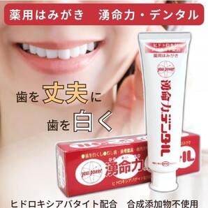 歯磨き粉 歯周炎予防 口臭防止 湧命力デンタル一本