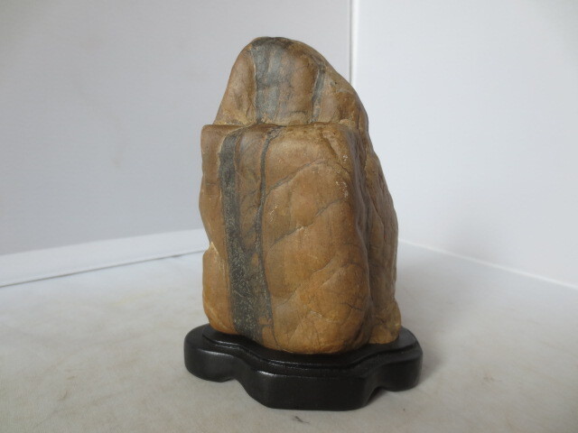 5041 瀬田川蓬巣立石 ウブ 銘『幽邃の淵』溜まり石 水石骨董 2025年最新】Yahoo!オークション -水石 瀬田川の中古品・新品