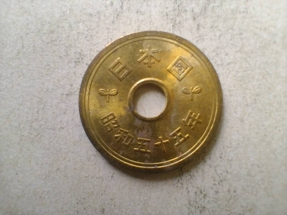 昭和5年　五園古銭 新5円金貨 昭和5年 財務省（未使用・ID32666） - セキグチは1964