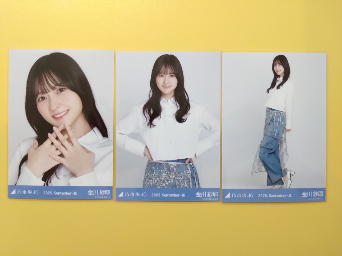 2025年最新】Yahoo!オークション -金川紗耶 生写真の中古品