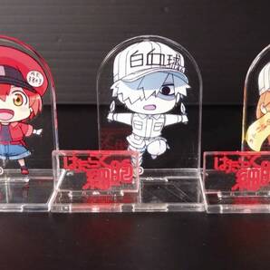 はたらく細胞 チョコエッグ クリアスタンド まとめて三個 赤血球 白血球 血小板 アクスタ