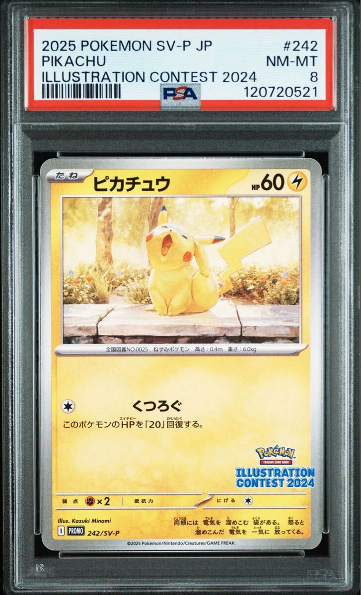 イラストレーションコンテスト　プロモ Pokémon Trading Card Game イラストレーションコンテスト 2024