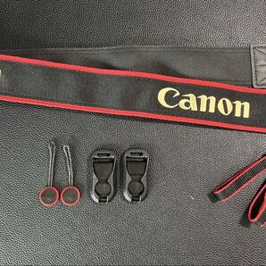 Peak Design / ピークデザイン アンカーリンクス キヤノンストラップ