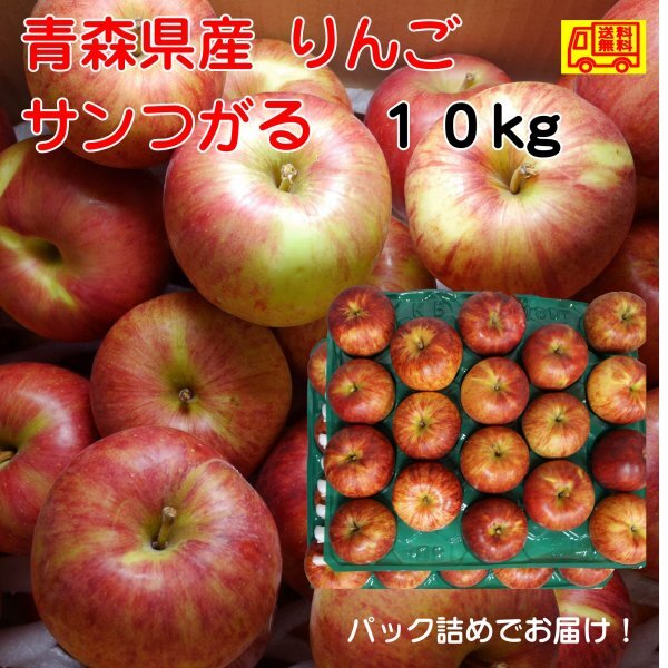 ※りんご出品 07-02-025 りんご(小玉サンふじ)10kg - 山形県天童市｜ふるさと