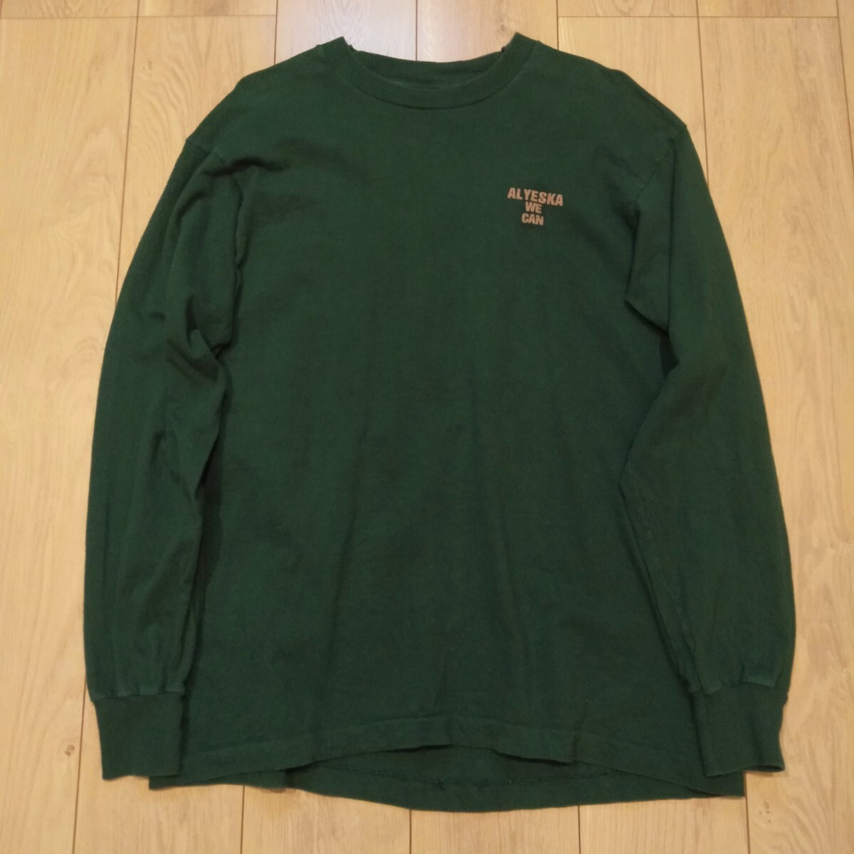 USA古着卸 XLサイズ FRUIT OF THE LOOM フルーツオブザルーム ALYESKA WE CAN 1996 両面プリント シングルステッチ 長袖 ロング Tシャツ