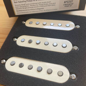 TONERIDER Apex Plus ストラト ノイズレス ピックアップ セット クリームカバー UKブランド