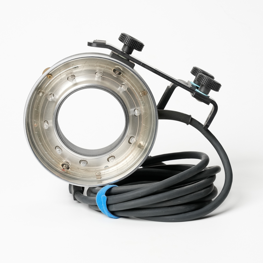 2025年最新】Yahoo!オークション -ブロンカラー ストロボ