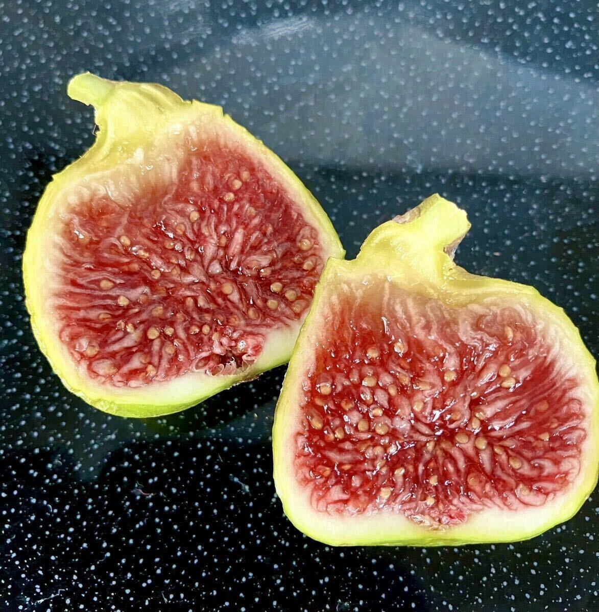 いちじくhanafuku画面 いちじく 無花果 イチジク