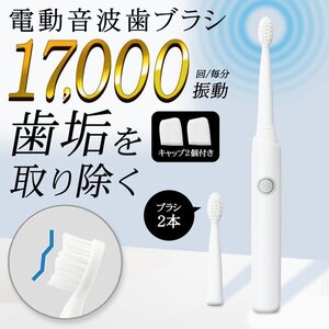 電動歯ブラシ 振動 17000回転/分 音波ブラシ 替えブラシ2本 IPX7 防水 電池式 携帯 ハブラシ 歯磨き 歯 健康 送料無料 3M◇ 歯ブラシMEH