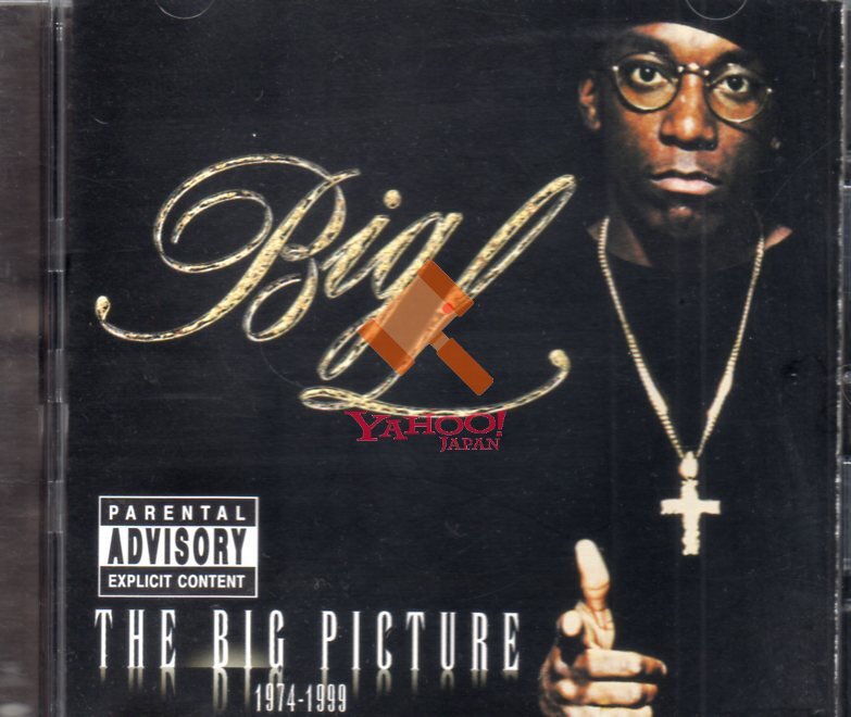 THE BIG PICTURE BIG L d.i.t.c lord fines