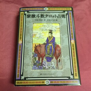 紫微斗数タロット占術 中島 多加仁 著 笠原 かなえ 画
