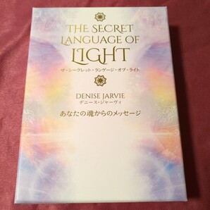ザ・シークレット・ランゲージ・オブ・ライ デニース・ジャーヴィ 日本語版解説書付き