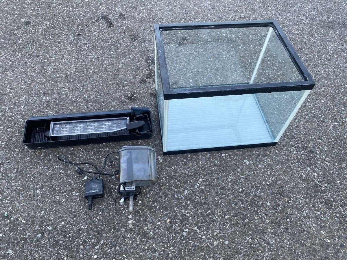 新品 アクリル水槽 ６０Ｘ３０Ｘ３６ｃｍ(黒帯) 楽天市場】メーカー直送 （受注生産）水槽 アクリル水槽1面