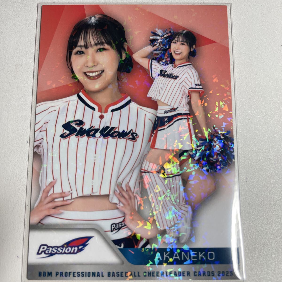 2025年最新】Yahoo!オークション -ヤクルトスワローズ passionの中古品