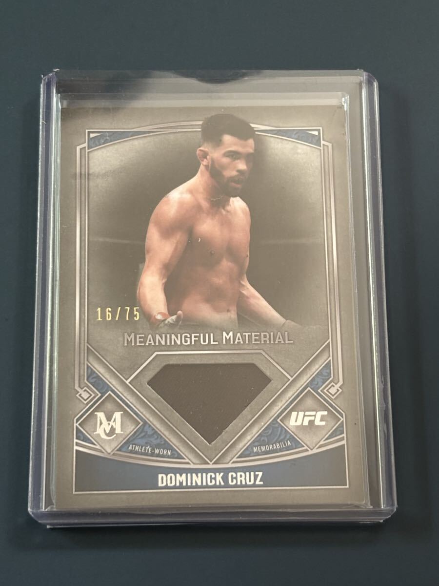 ufc 激レアカード　アントニオ・ホドリゴ・ノゲイラ　サインカード アントニオ・ホドリゴ・ノゲイラ直筆サイン入り超大型写真