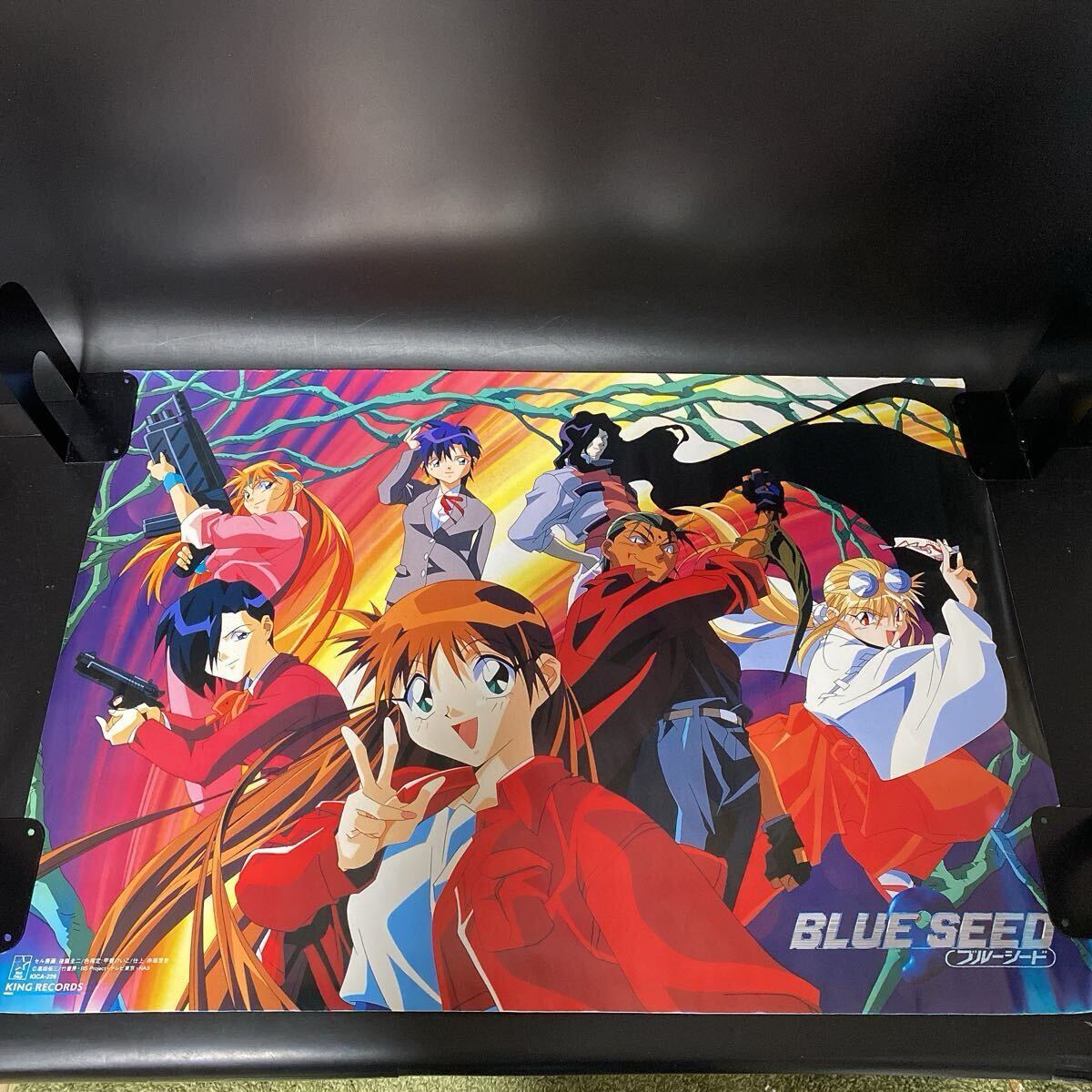 2025年最新】Yahoo!オークション -ブルーシード アニメの中古品