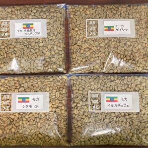 珈琲生豆 モカ4種G1〜G4各200g