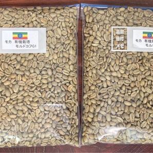 珈琲生豆 モカモルドコフG1有機栽培800g