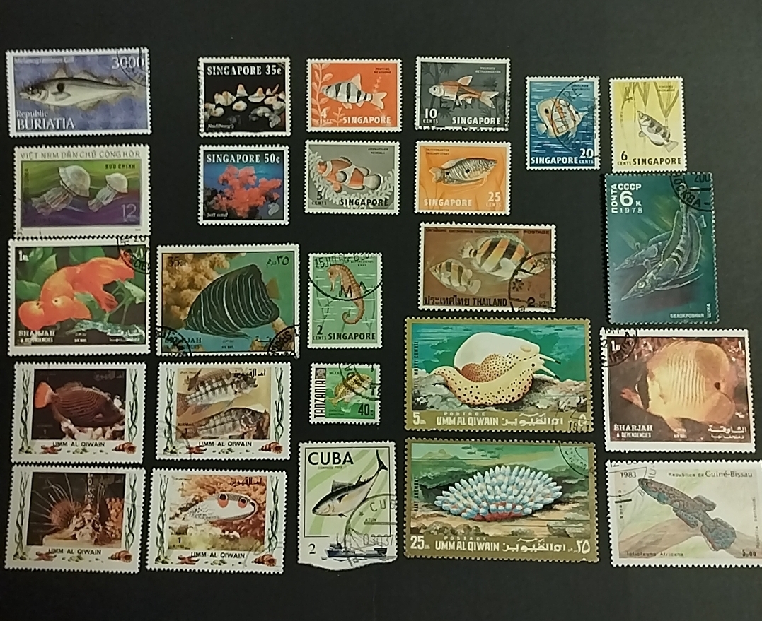 2025年最新】Yahoo!オークション -cccp 切手の中古品・新品・未