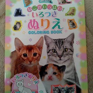 送料無料! ★最後の1点です♪早い者勝ち!★【塗り絵 猫ちゃん】ねこ ネコ キャット 大人のぬりえ ぬり絵 初心者 認知症予防 脳トレ