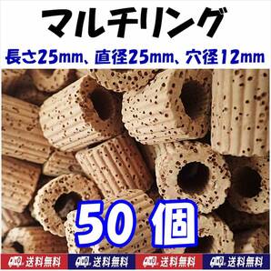 【送料込】マルチリング 50個 サンゴ・ウィローモス・ブセファランドラ等の水草活着用に シュリンプシェルター メダカ産卵床のオモリに
