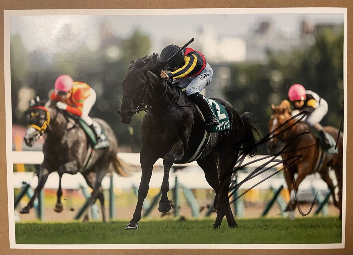 2025年最新】Yahoo!オークション -競馬 騎手 サイン(競馬)の中古
