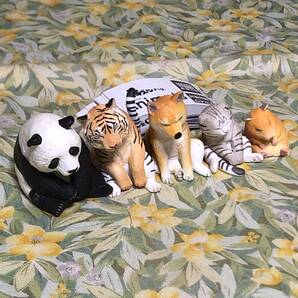 送料無 肩ズンFig. Animals アニマルズ 全5種set ガチャ/動物/パンダ/トラ/柴犬/ネコ/ハムスター