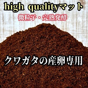 クワガタ産卵専用 high quality完熟3次発酵マット【20L】微粒子・添加剤少なめで長期間室内発酵 オガに植菌を回してあるので爆産します