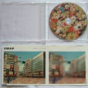 SMAP/スマップ【世界に一つだけの花 (マキシシングル/初回限定カラーピクチャー盤】作詞・作曲・編曲:槇原敬之/ストリングス編曲:門倉聡