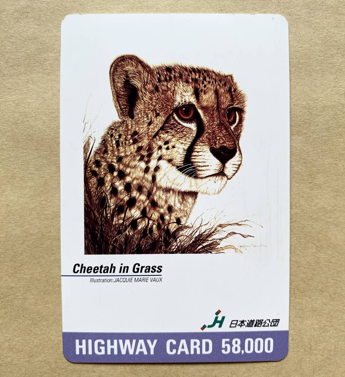 2025年最新】Yahoo!オークション -ジャッキーマリーの中古品