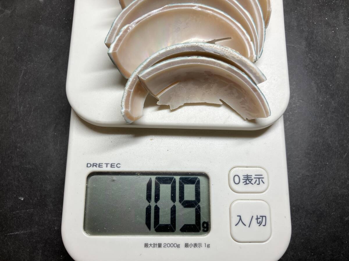 2025年最新】Yahoo!オークション -夜光貝(アンティーク