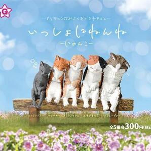 B-55 コンプ いっしょにねんね -にゃんこ- 全5種 ガチャ ねこ ネコ 猫