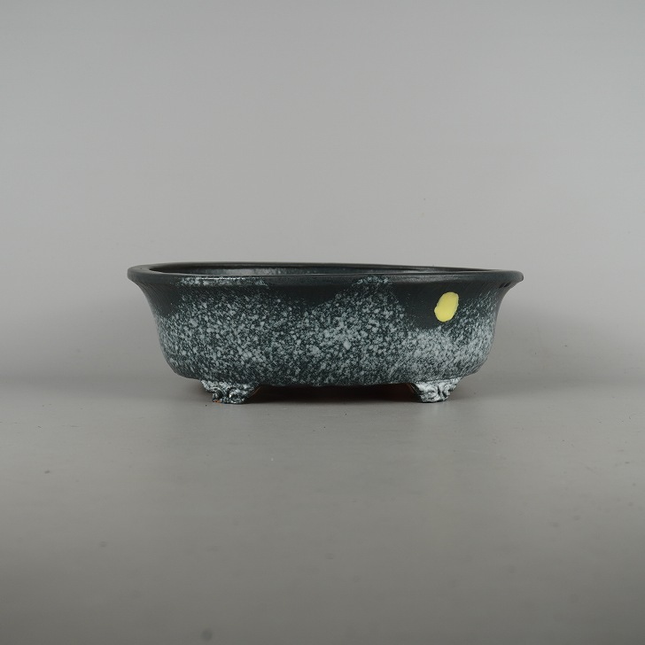 2025年最新】Yahoo!オークション -盆栽鉢 秀峰の中古品・新品