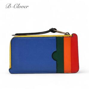 *美品* LOEWE ロエベ アナグラム フラグメントケース コインカードホルダー マルチカラー