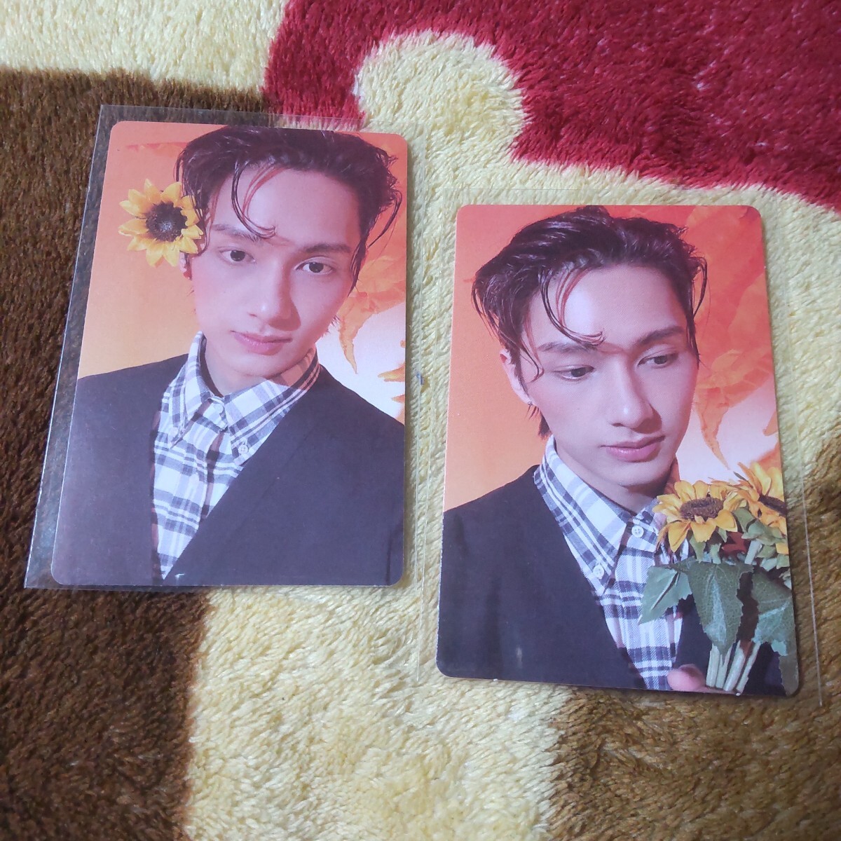 2025年最新】Yahoo!オークション -SEVENTEEN JUN(タレントグッズ