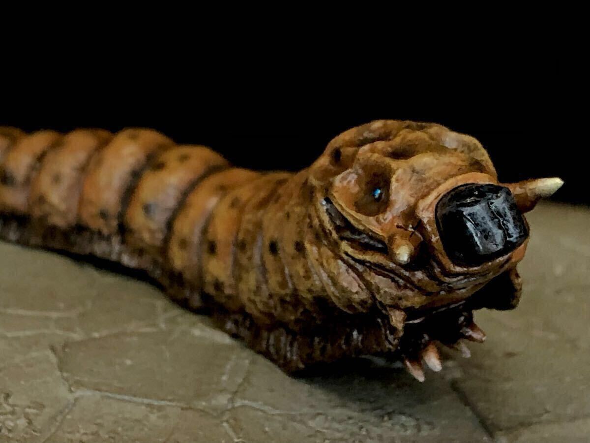 2025年最新】Yahoo!オークション -モスラ幼虫の中古品・新品・未