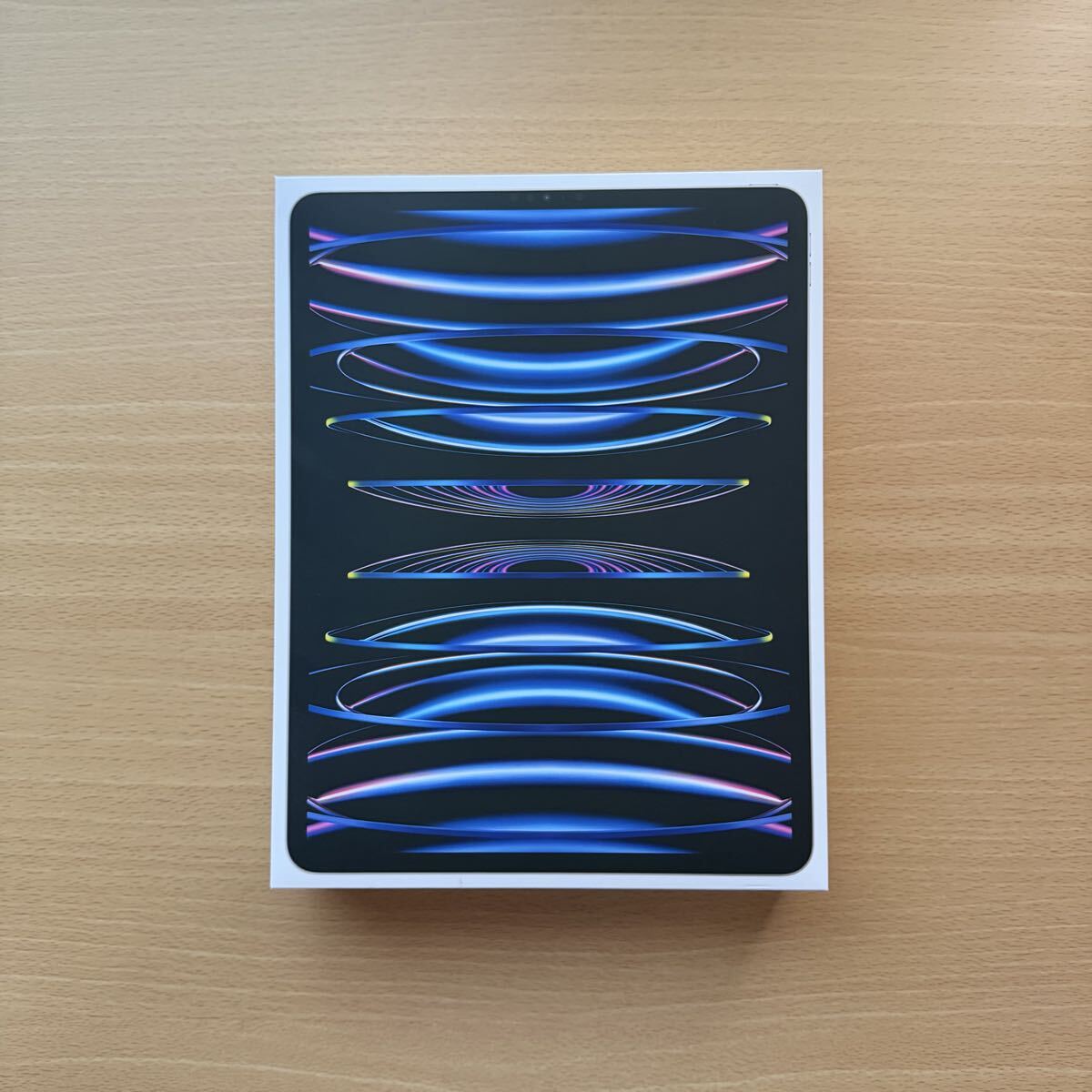 Apple iPad Pro 12.9インチ 第2世代 Wi-Fi 256GB オークション